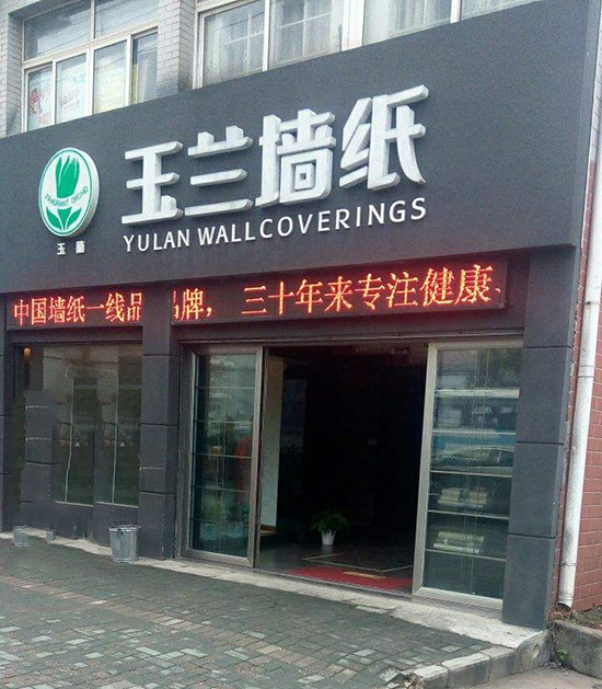 玉兰墙纸形象展示